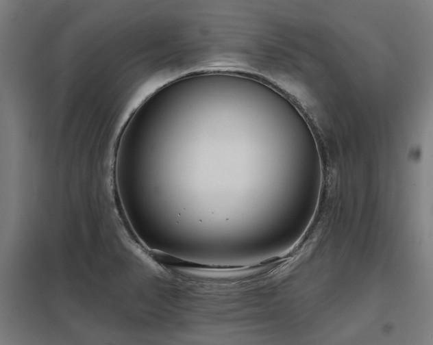X0000098051374200803281444
