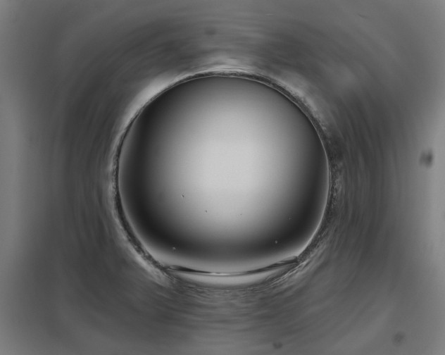 X0000098051375200803281444