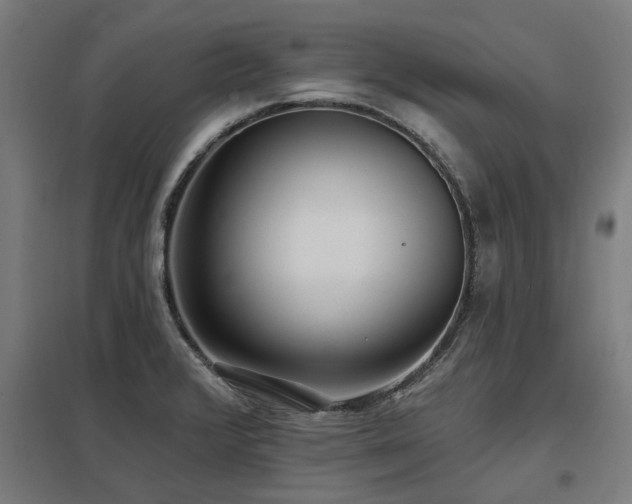 X0000098051376200803281444