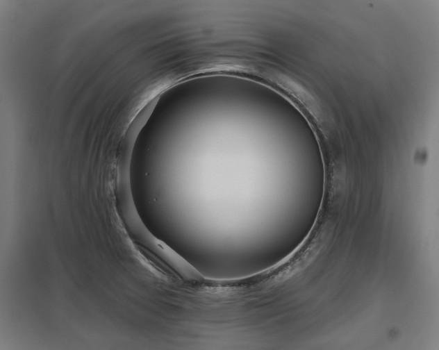 X0000098051377200803281444