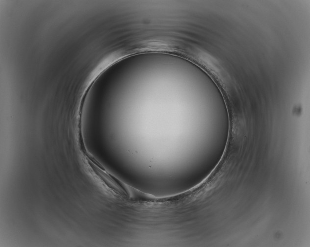 X0000098051378200803281444