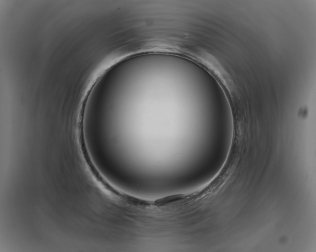 X0000098051379200803281444