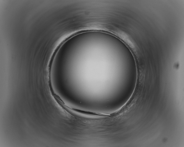X0000098051380200803281444