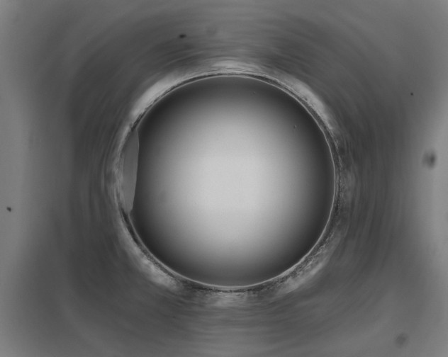X0000098051381200803281444