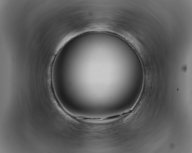 X0000098051382200803281444