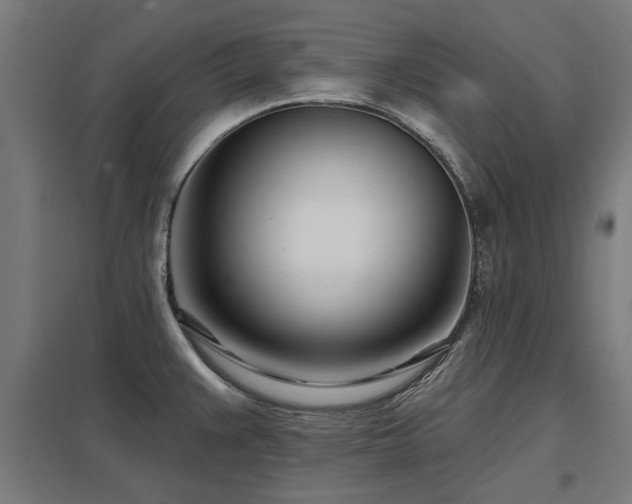 X0000098051383200803281444