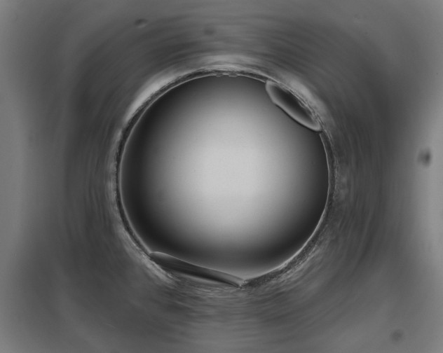 X0000098051384200803281444