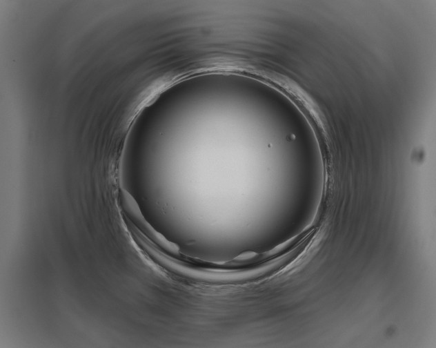 X0000098051385200803281444
