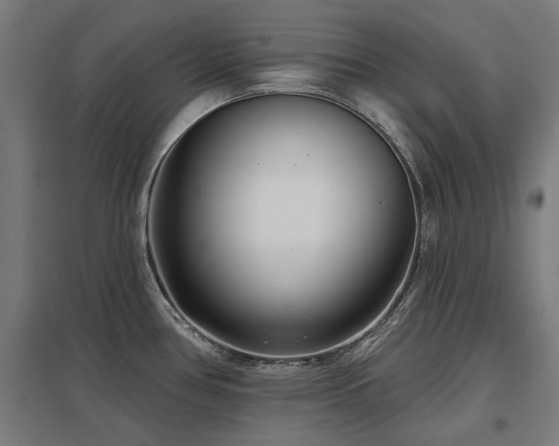 X0000098051386200803281444