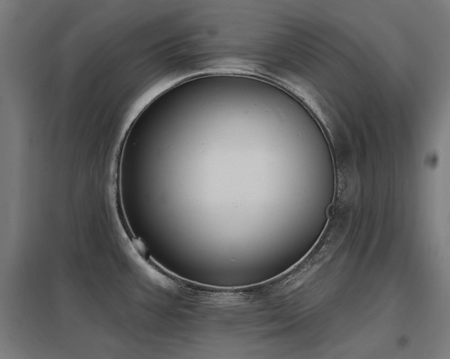 X0000098051387200803281444