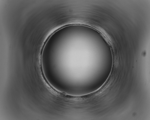X0000098051388200803281444