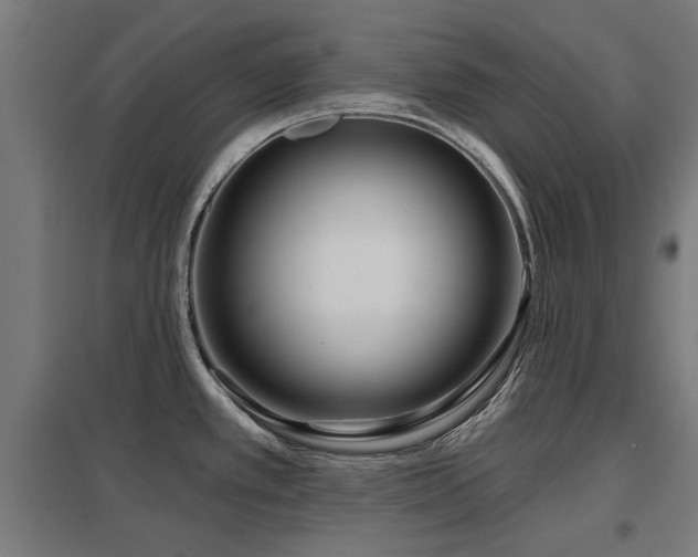 X0000098051389200803281444