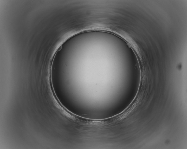 X0000098051390200803281444
