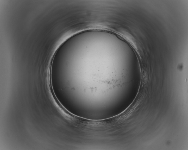 X0000098051391200803281444