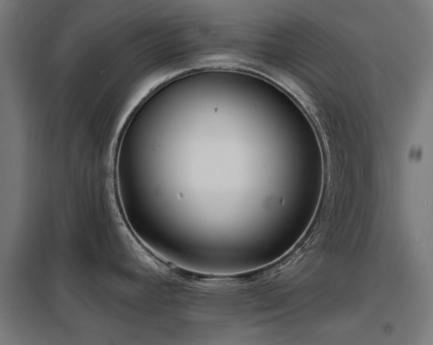 X0000098051392200803281444