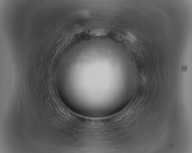 X0000098051393200803281443