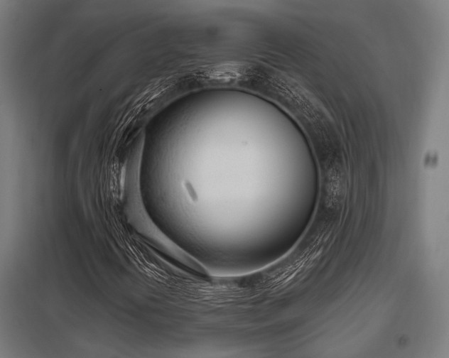 X0000098051394200803281443