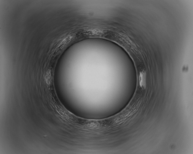 X0000098051395200803281443