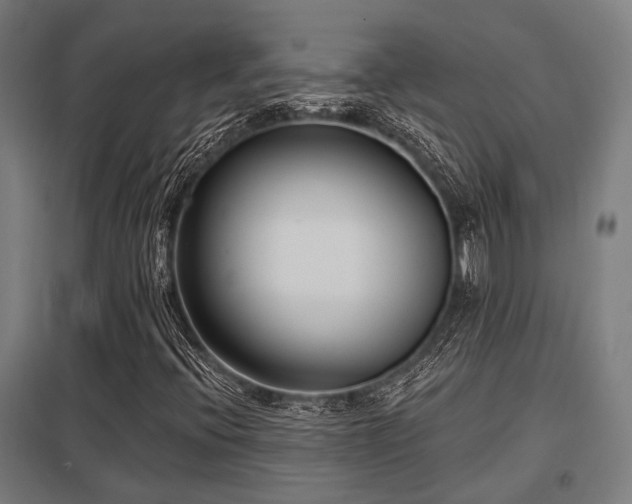 X0000098051396200803281443