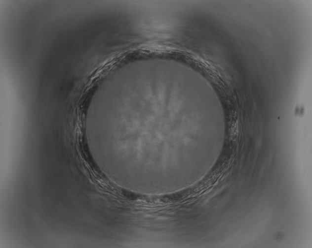 X0000098051397200803281443