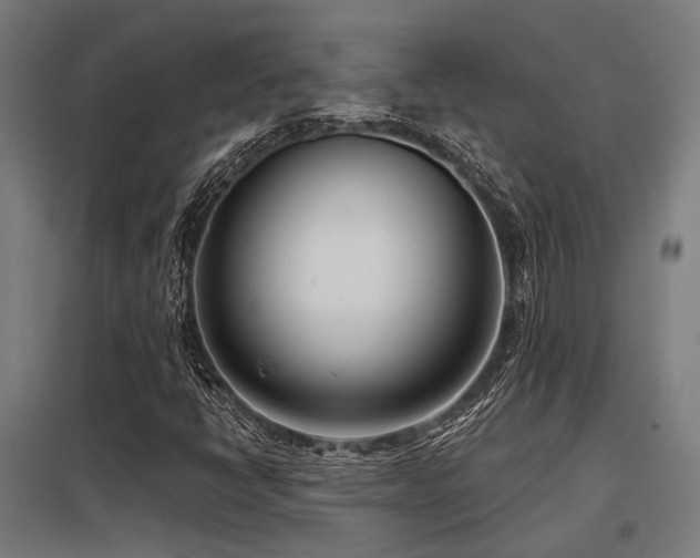 X0000098051398200803281443