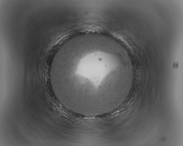 X0000098051399200803281443