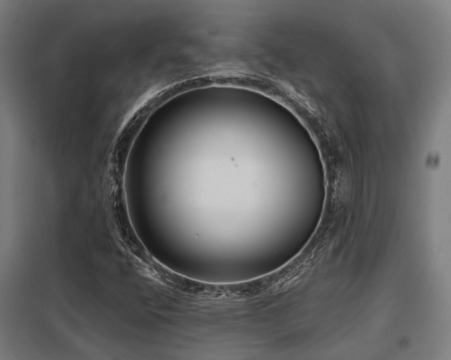 X0000098051400200803281443