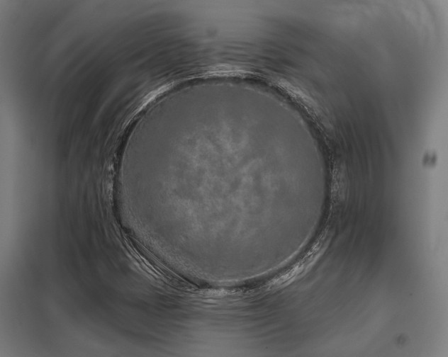 X0000098051401200803281443