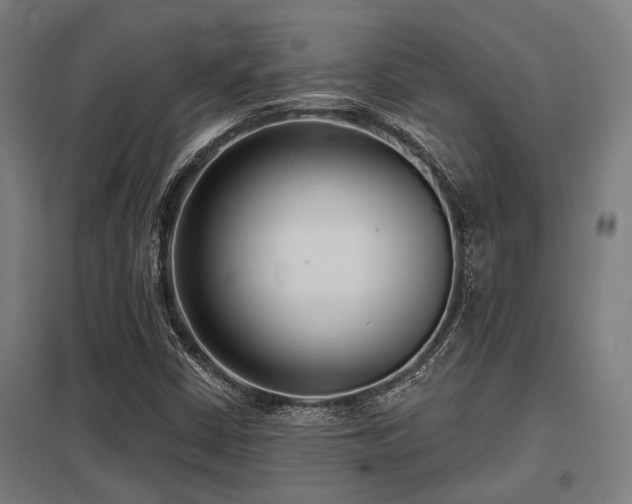 X0000098051402200803281443