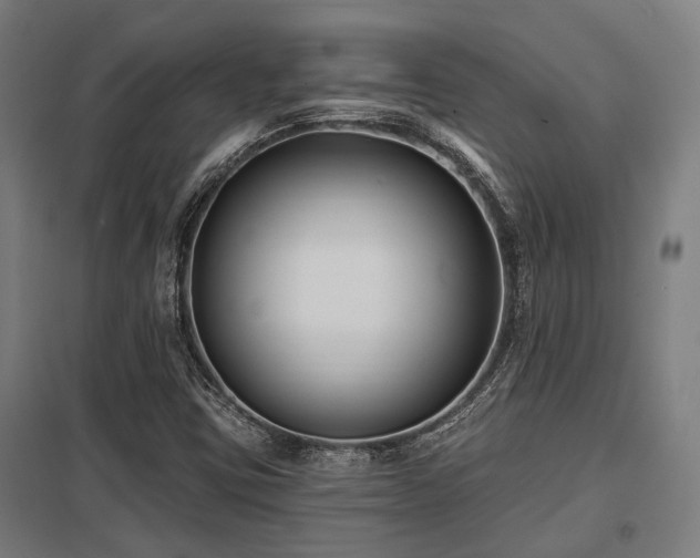 X0000098051403200803281443