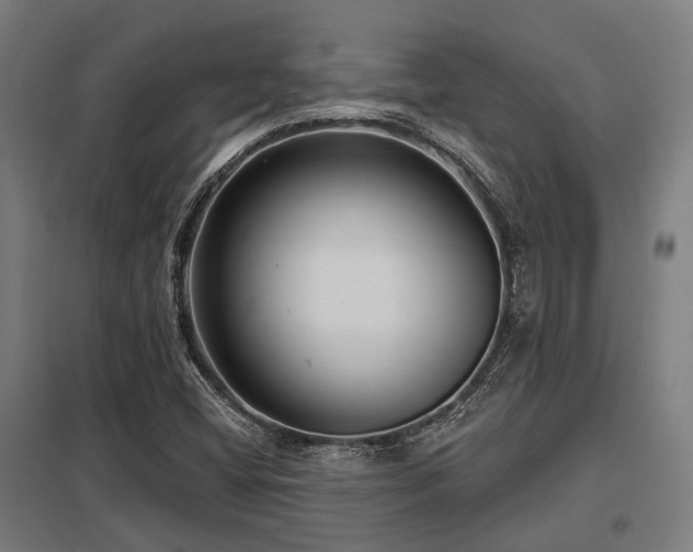 X0000098051404200803281443