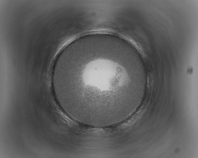 X0000098051405200803281443