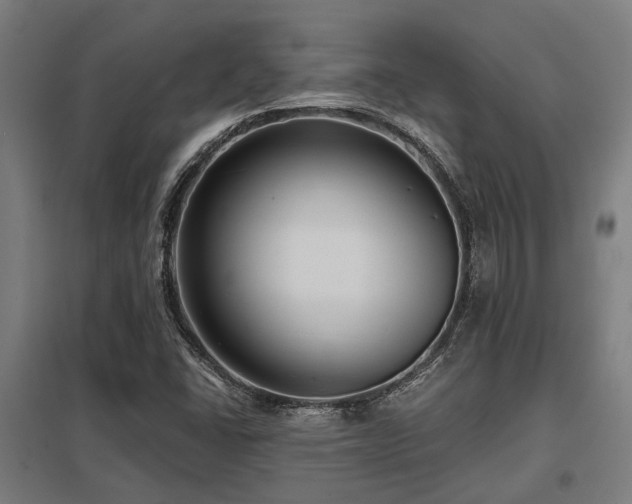 X0000098051406200803281443