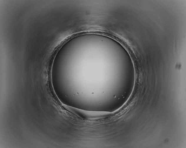 X0000098051407200803281443