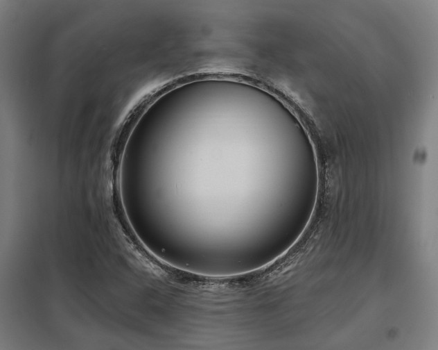 X0000098051408200803281443
