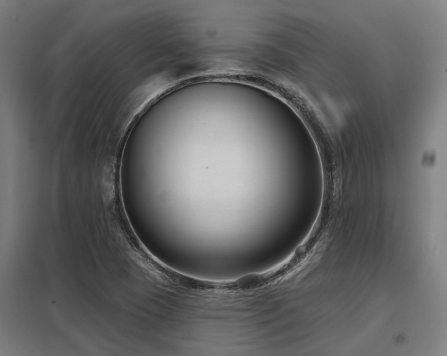 X0000098051409200803281443
