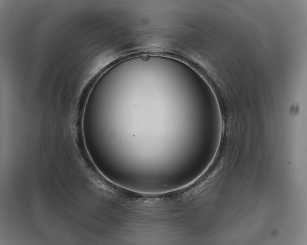 X0000098051410200803281443