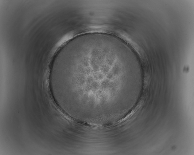 X0000098051411200803281443