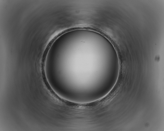 X0000098051412200803281443