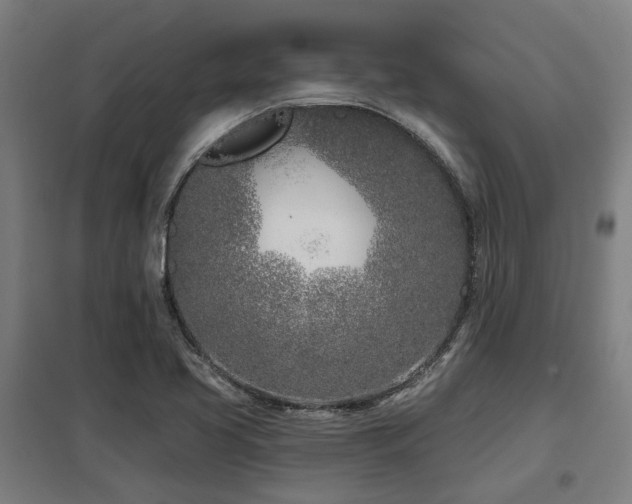 X0000098051413200803281443