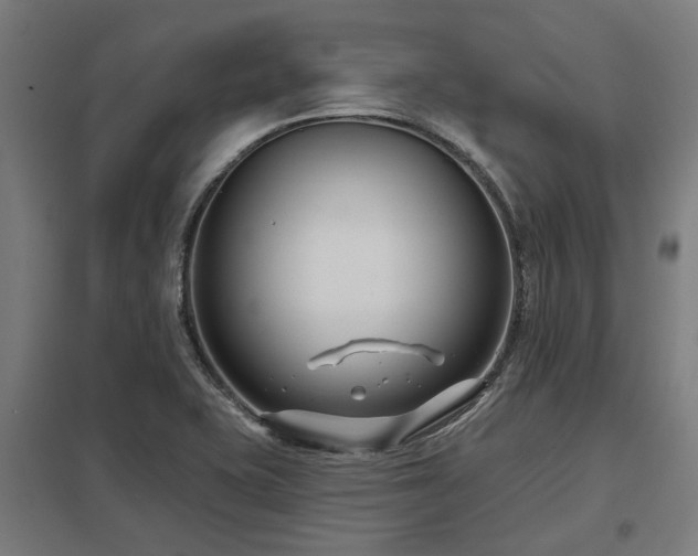 X0000098051415200803281443
