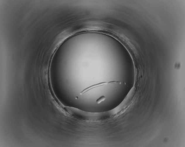 X0000098051417200803281443