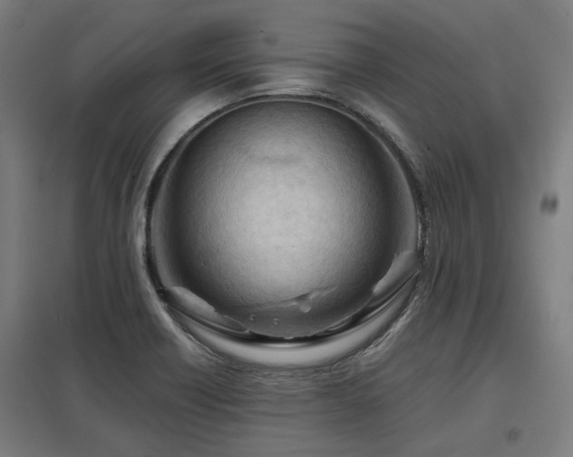 X0000098051418200803281444