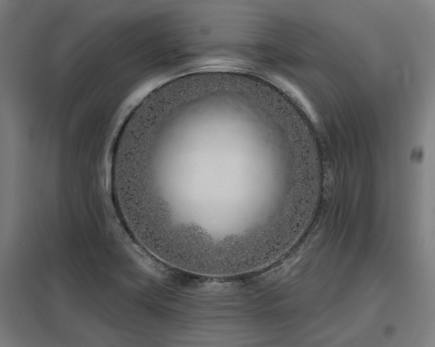 X0000098051419200803281444