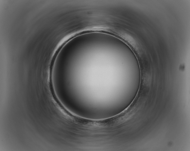 X0000098051420200803281444