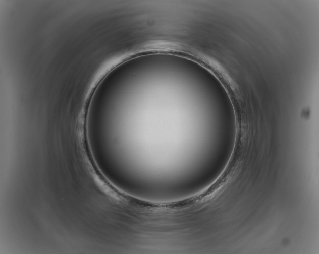 X0000098051421200803281444