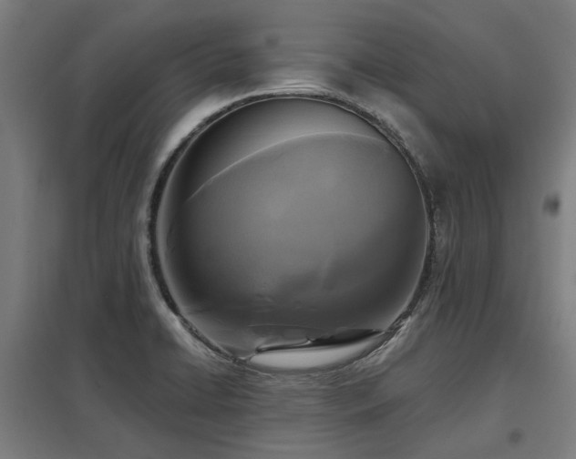 X0000098051422200803281444