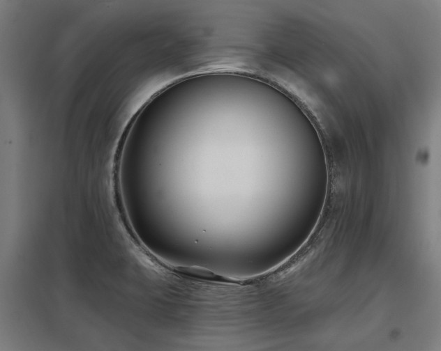 X0000098051423200803281444