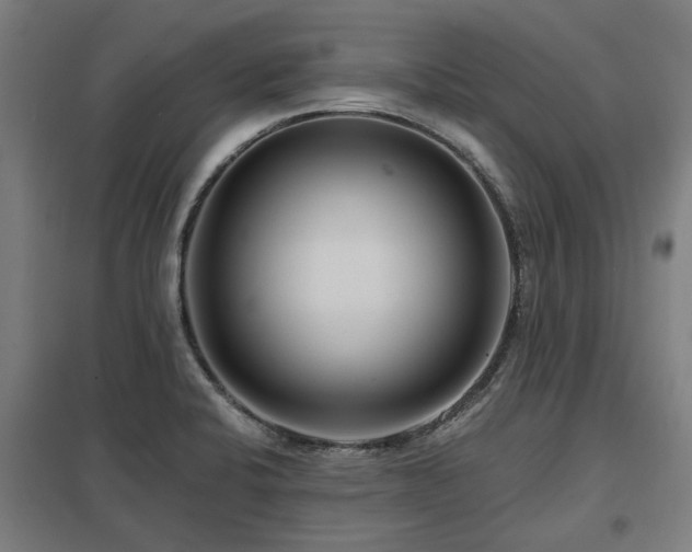 X0000098051424200803281444