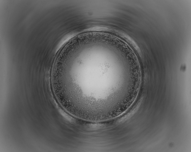 X0000098051425200803281444